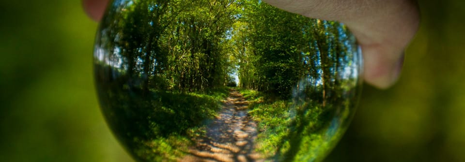 A beautiful trail through the woods as viewed through a glass ball.